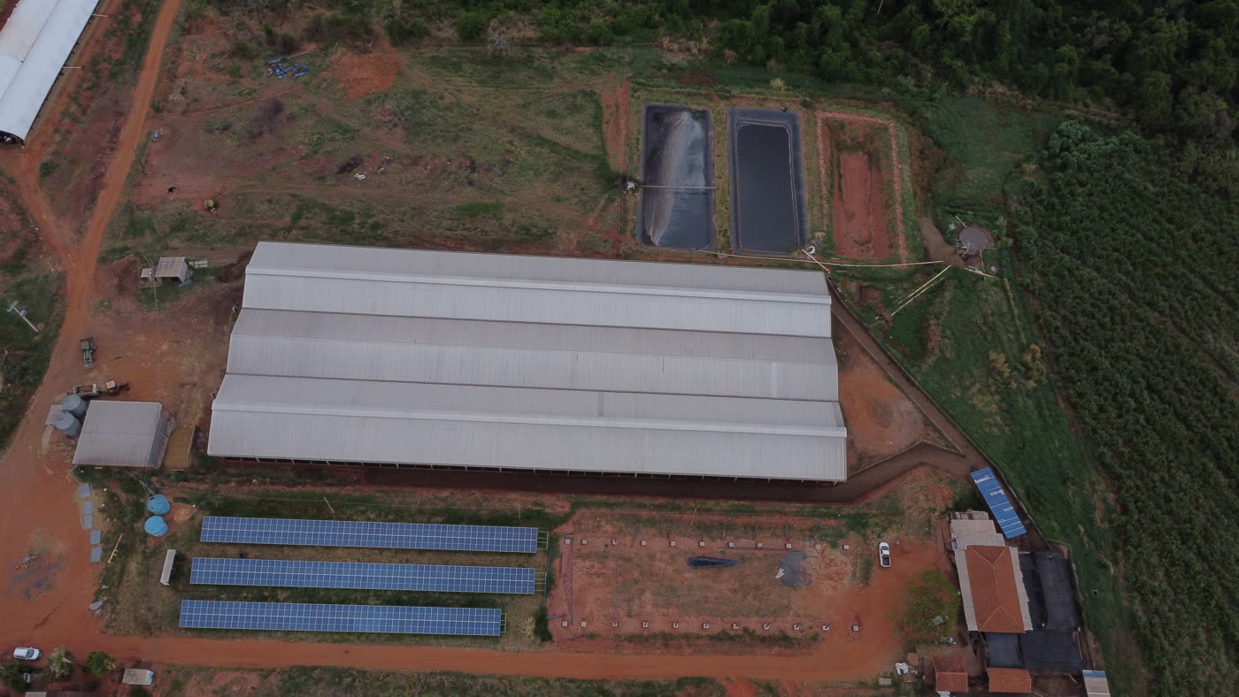 Energia solar no agronegócio: economia para propriedades rurais da região