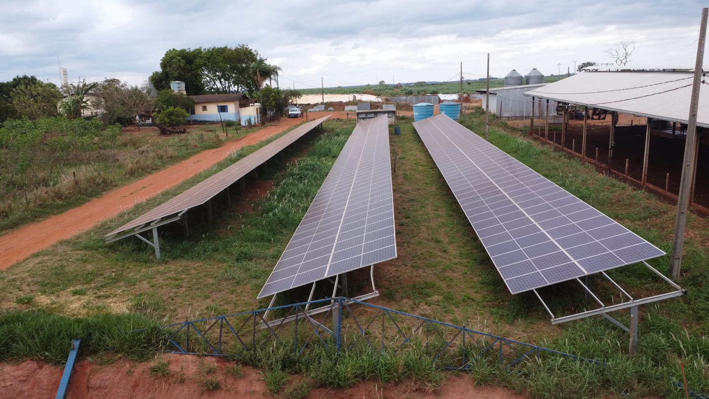 Três fileiras de módulos fotovoltaicos em usina de solo em propriedade rural, instaladas pela Sinergia Solar